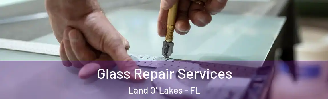  Glass Repair Services Land O' Lakes - FL